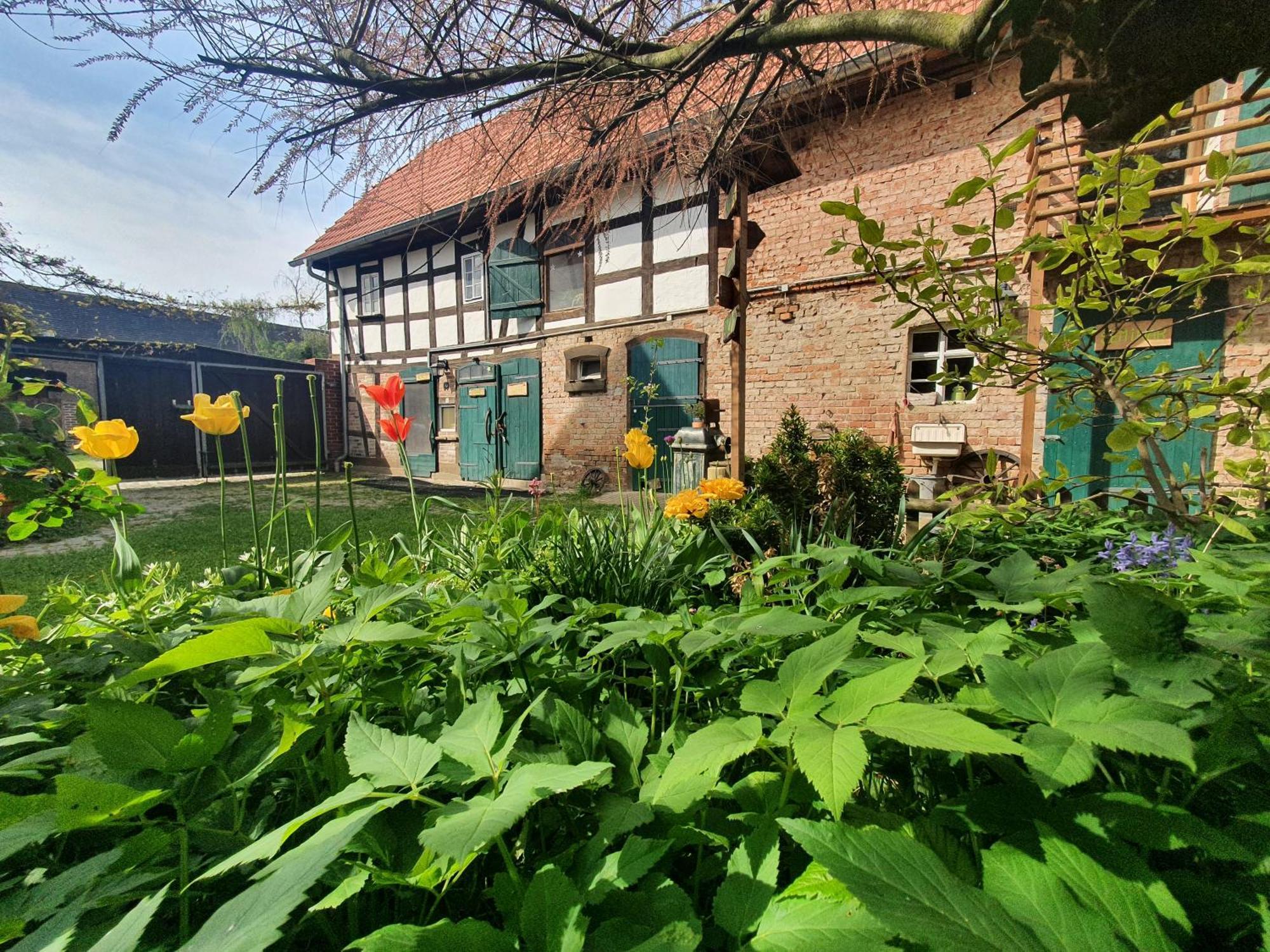 Ferienhof Gruene Kuh Elsteraue Exterior photo