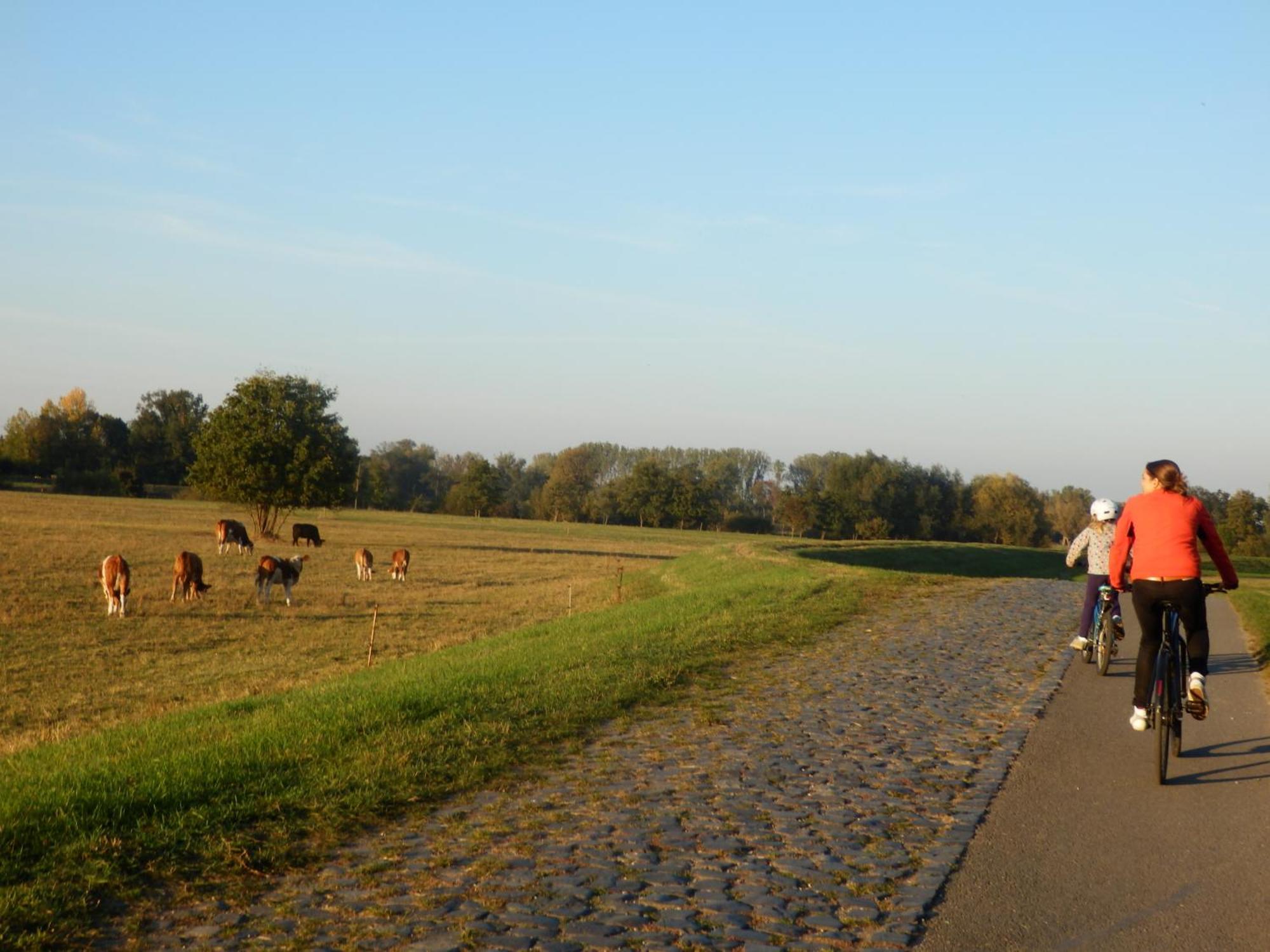 Ferienhof Gruene Kuh Elsteraue Exterior photo